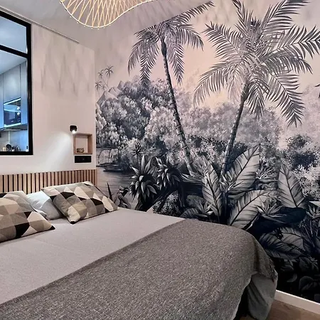 Apartment En Plein Centre De A 2 Pas De La Croisette Cannes